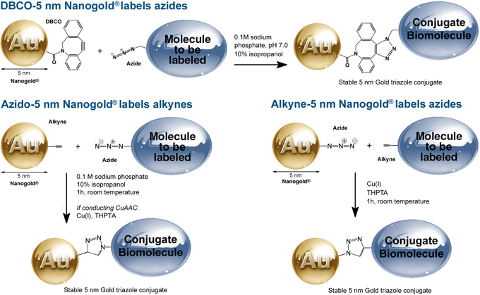 5 nm Nanogold Click Reagents