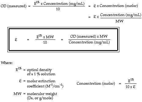 extinction coefficient protein 280 nm