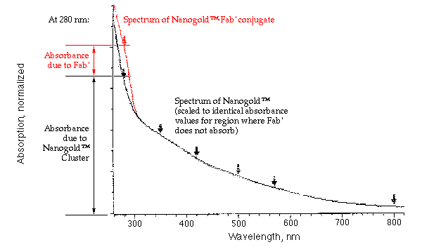 [Nanogold-labeled Fab' UV/visible spectrum showing basis for labeling calculation (5k)]