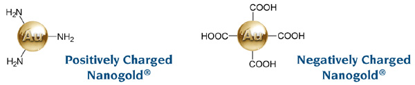 Charged Nanogold [(28k)]