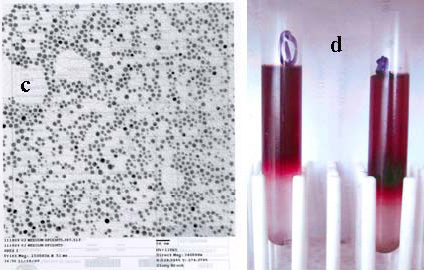 Figure 1: UV-visible, fluorescence (Ex 660 nm) spectra, and TEM (a, b, and c) of fluorescent 5 nm gold-Cy-5.5 conjugate purified by density gradient ultra-centrifugation (d) followed by size exclusion chromatography (vide supra).