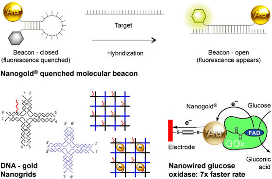 Some examples of gold-labeled nanostructural materials and nanodevices.