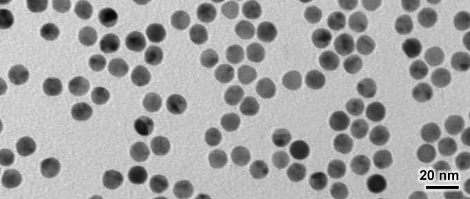 12 nm Nanogold® as seen by EM