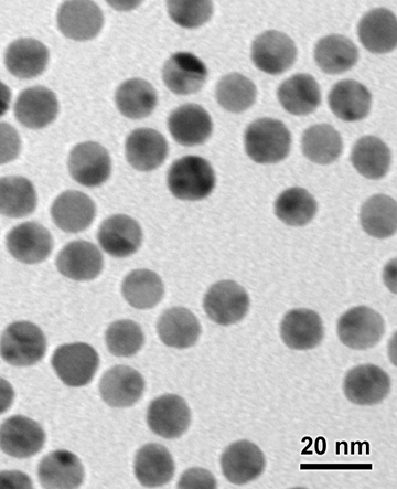 12 nm Nanogold particles showing highly regular, monodisperse 12 nm gold core