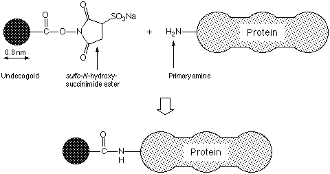 Chemdraw Pic (4k)