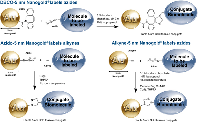 Nanogold® Click labeling reactions