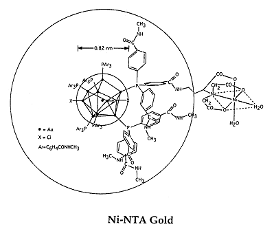 Undecagold-NTA-Ni(II) (14k)