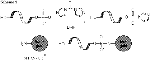 Activated Ester - Monoamino Nanogold Labeling (3k)