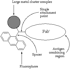 [improved combination probe] (33k)