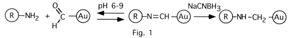 [Figure 1: Aldehyde Formation] (9k)