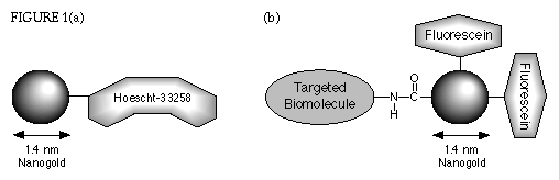 [Figure 1] (9k)