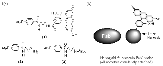 [Figure 1: Ligands and configuration] (8k)