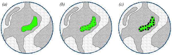 [Combined GFP and Nanogold labeling (73k)]