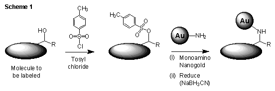 [Tosylation and Monoamino Nanogold labeling scheme(6k)]