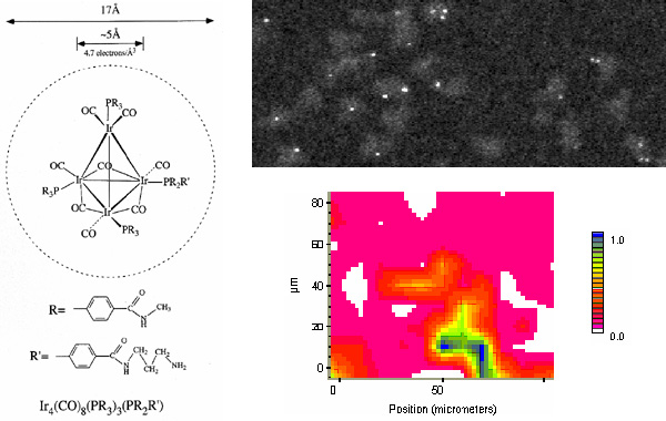 [Structure, STEM micrograph and IR image of Tetrairidum conjugate (81k)]