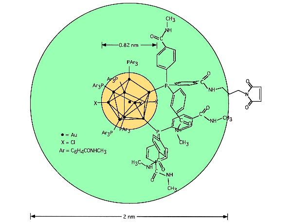 [Maleimido Undecagold Structure (21k)]