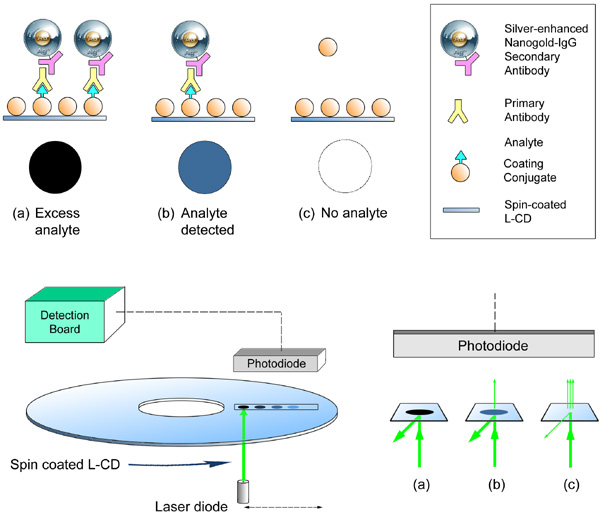 [Nanogold-Silver detection in a spin-coated compact disk microimmunoassay (82k)]