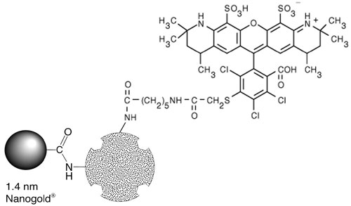 7416 Alexa fluor 546 Nanogold Fig 1