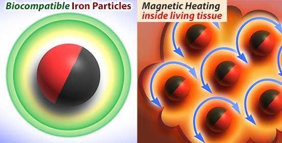 Ferromag magnetic particles showing protective biocompatible ligand shell, and thermal heating in an oscillating magnetic field